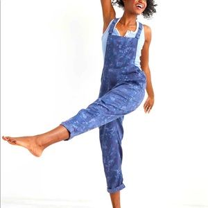 Aerie Blue Floral Overalls
